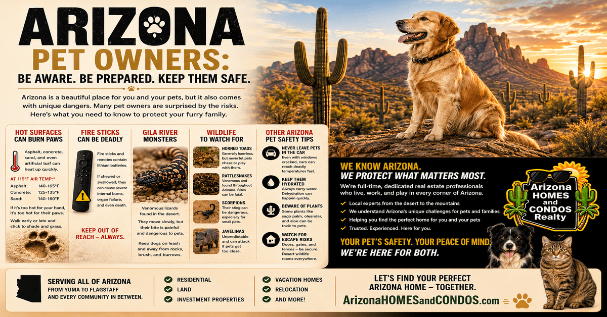 Arizona pet safety guide... dog on desert yard with xeriscape, mountains, and hazards like hot pavement and rattlesnakes