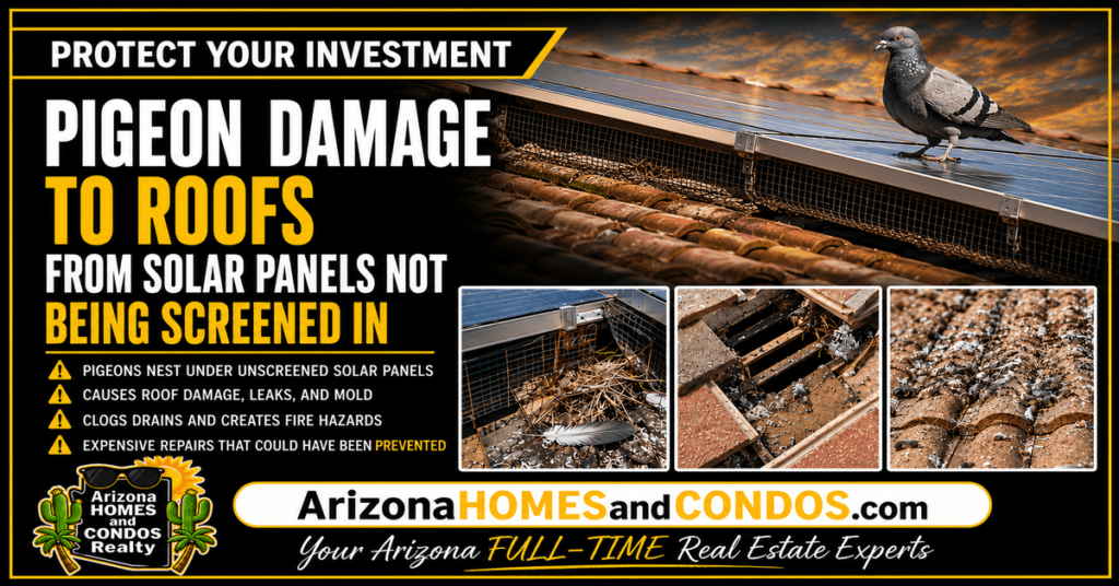 Pigeon damage to an Arizona tile roof caused by solar panels not being screened, including nesting debris, droppings, damaged roof tiles, and potential leaks.